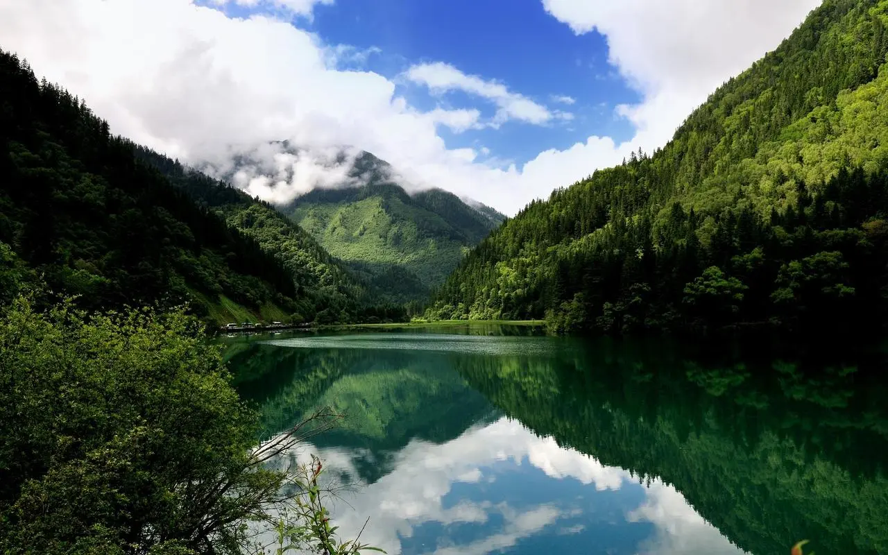 高性能高效